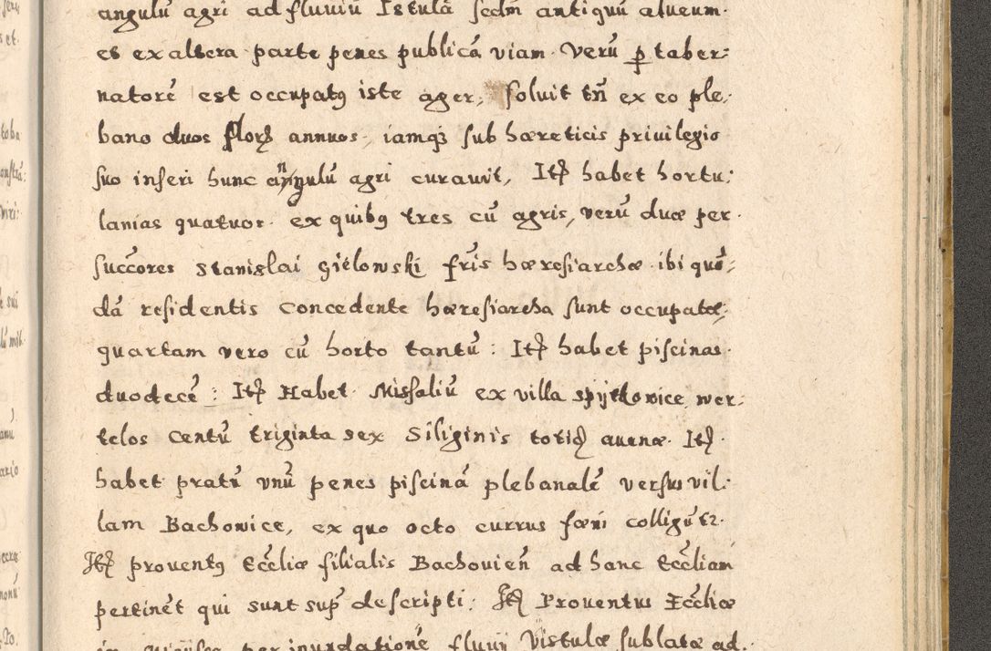 Zdjęcie nr 399 dla obiektu archiwalnego: Acta visitationis exterioris decanatuum Oswiecimensis, Novi Montis, Zatoriensis et Skamnesis ad archidiaconatum Cracoviensem pertinentium per R. D. Christophorum Kazimirski, nominatum episcopum Kijoviensem et praepositum Tarnoviensem ex commissione Illustr. Principis D. Georgii, divina miseratione S.R.E. tituli s. Sixti cardinalis presbiteri Radziwiłł nuncupati, episcopatus Cracoviensis administratoris perpetui, in Olica er Nieswież ducis a. D. 1598