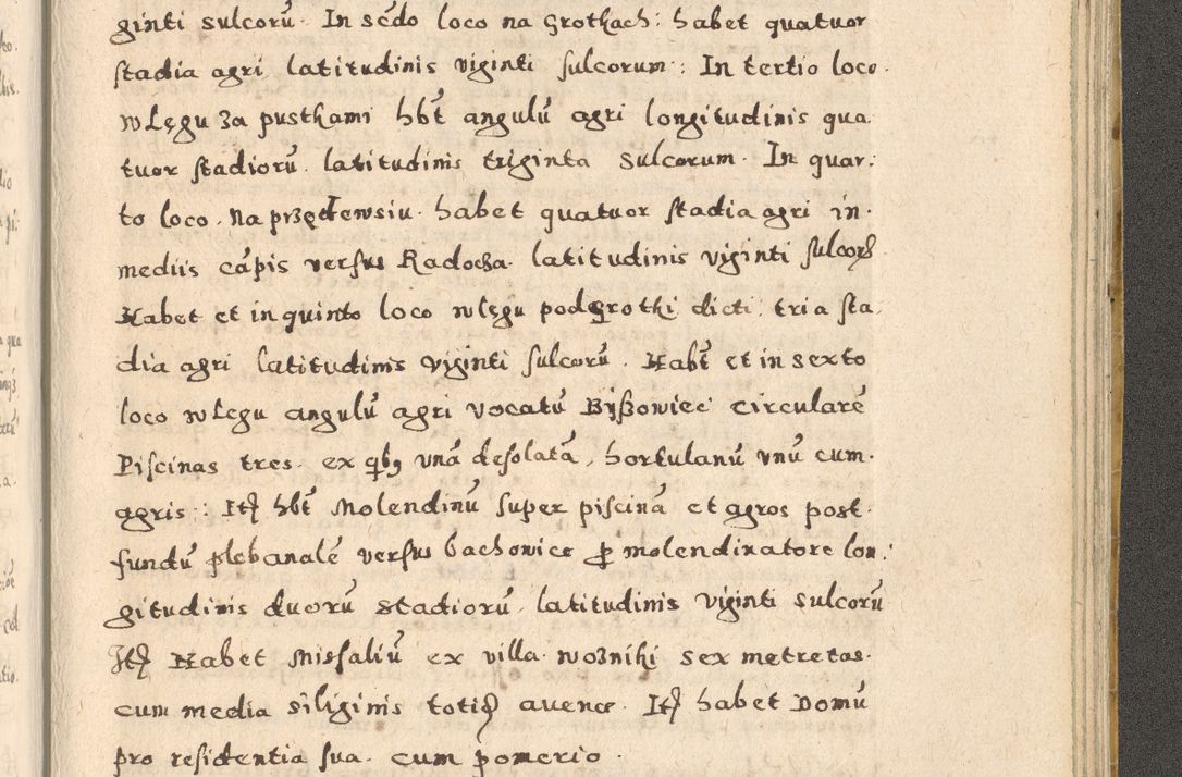 Zdjęcie nr 393 dla obiektu archiwalnego: Acta visitationis exterioris decanatuum Oswiecimensis, Novi Montis, Zatoriensis et Skamnesis ad archidiaconatum Cracoviensem pertinentium per R. D. Christophorum Kazimirski, nominatum episcopum Kijoviensem et praepositum Tarnoviensem ex commissione Illustr. Principis D. Georgii, divina miseratione S.R.E. tituli s. Sixti cardinalis presbiteri Radziwiłł nuncupati, episcopatus Cracoviensis administratoris perpetui, in Olica er Nieswież ducis a. D. 1598