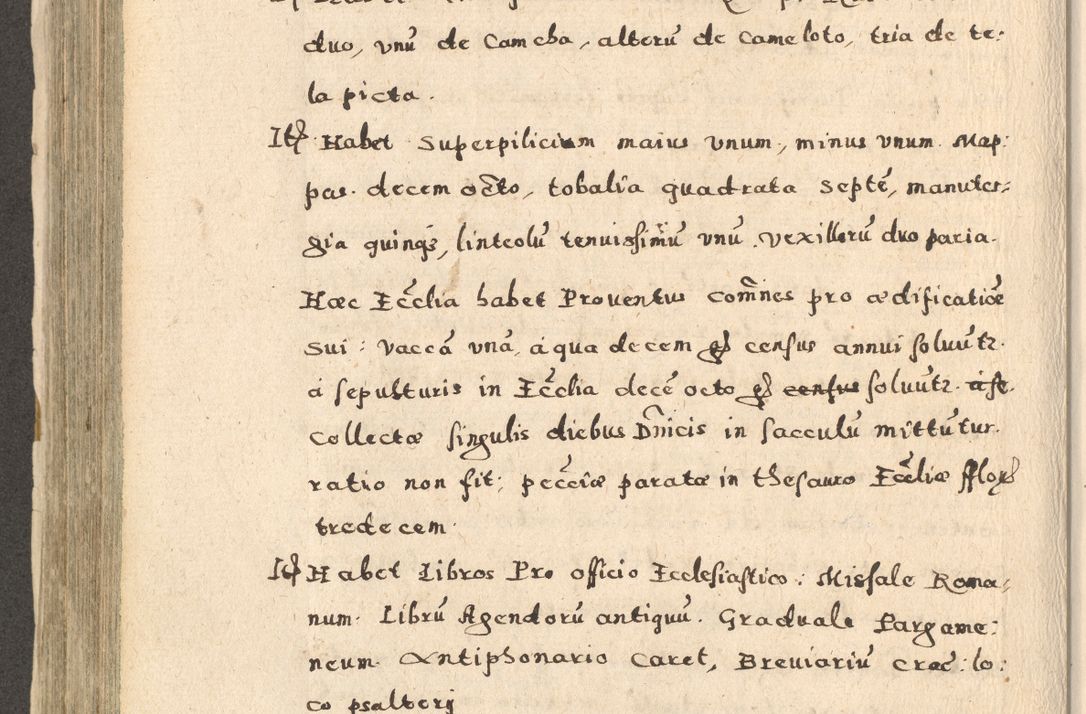 Zdjęcie nr 388 dla obiektu archiwalnego: Acta visitationis exterioris decanatuum Oswiecimensis, Novi Montis, Zatoriensis et Skamnesis ad archidiaconatum Cracoviensem pertinentium per R. D. Christophorum Kazimirski, nominatum episcopum Kijoviensem et praepositum Tarnoviensem ex commissione Illustr. Principis D. Georgii, divina miseratione S.R.E. tituli s. Sixti cardinalis presbiteri Radziwiłł nuncupati, episcopatus Cracoviensis administratoris perpetui, in Olica er Nieswież ducis a. D. 1598