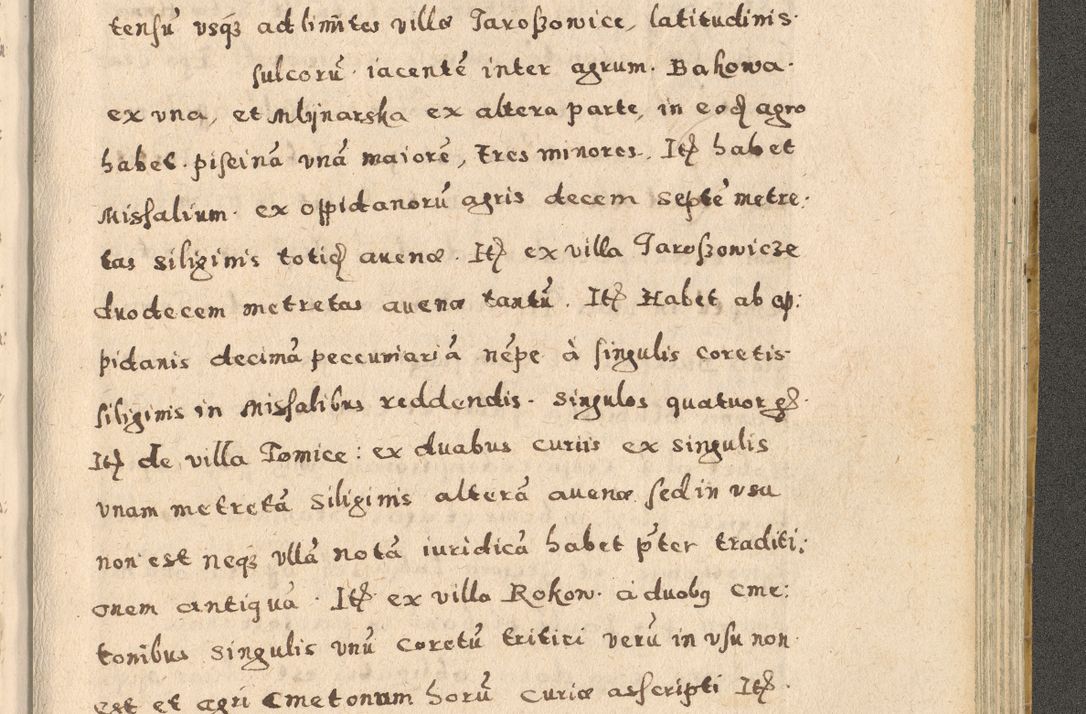 Zdjęcie nr 345 dla obiektu archiwalnego: Acta visitationis exterioris decanatuum Oswiecimensis, Novi Montis, Zatoriensis et Skamnesis ad archidiaconatum Cracoviensem pertinentium per R. D. Christophorum Kazimirski, nominatum episcopum Kijoviensem et praepositum Tarnoviensem ex commissione Illustr. Principis D. Georgii, divina miseratione S.R.E. tituli s. Sixti cardinalis presbiteri Radziwiłł nuncupati, episcopatus Cracoviensis administratoris perpetui, in Olica er Nieswież ducis a. D. 1598