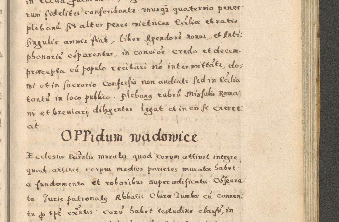 Zdjęcie nr 341 dla obiektu archiwalnego: Acta visitationis exterioris decanatuum Oswiecimensis, Novi Montis, Zatoriensis et Skamnesis ad archidiaconatum Cracoviensem pertinentium per R. D. Christophorum Kazimirski, nominatum episcopum Kijoviensem et praepositum Tarnoviensem ex commissione Illustr. Principis D. Georgii, divina miseratione S.R.E. tituli s. Sixti cardinalis presbiteri Radziwiłł nuncupati, episcopatus Cracoviensis administratoris perpetui, in Olica er Nieswież ducis a. D. 1598