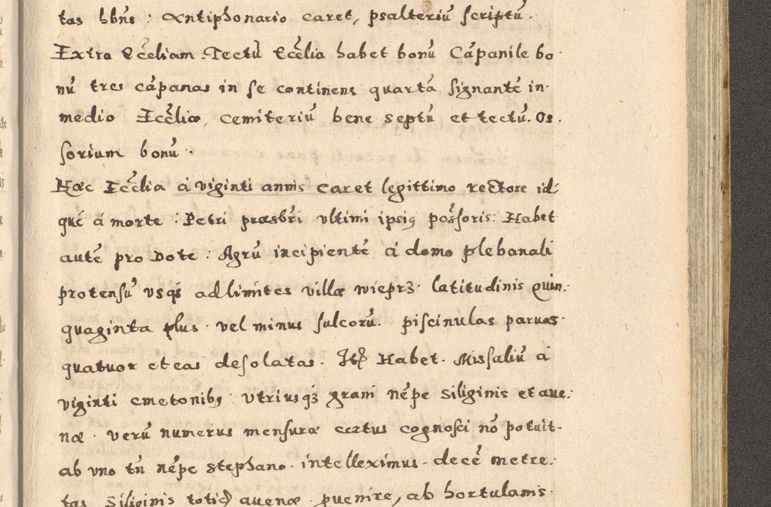 Zdjęcie nr 335 dla obiektu archiwalnego: Acta visitationis exterioris decanatuum Oswiecimensis, Novi Montis, Zatoriensis et Skamnesis ad archidiaconatum Cracoviensem pertinentium per R. D. Christophorum Kazimirski, nominatum episcopum Kijoviensem et praepositum Tarnoviensem ex commissione Illustr. Principis D. Georgii, divina miseratione S.R.E. tituli s. Sixti cardinalis presbiteri Radziwiłł nuncupati, episcopatus Cracoviensis administratoris perpetui, in Olica er Nieswież ducis a. D. 1598