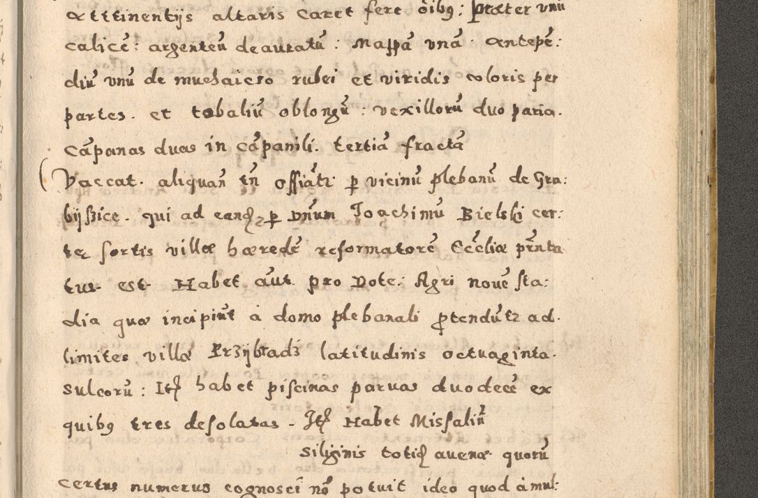 Zdjęcie nr 317 dla obiektu archiwalnego: Acta visitationis exterioris decanatuum Oswiecimensis, Novi Montis, Zatoriensis et Skamnesis ad archidiaconatum Cracoviensem pertinentium per R. D. Christophorum Kazimirski, nominatum episcopum Kijoviensem et praepositum Tarnoviensem ex commissione Illustr. Principis D. Georgii, divina miseratione S.R.E. tituli s. Sixti cardinalis presbiteri Radziwiłł nuncupati, episcopatus Cracoviensis administratoris perpetui, in Olica er Nieswież ducis a. D. 1598