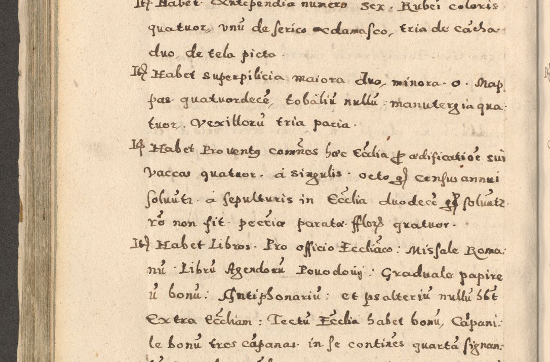 Zdjęcie nr 314 dla obiektu archiwalnego: Acta visitationis exterioris decanatuum Oswiecimensis, Novi Montis, Zatoriensis et Skamnesis ad archidiaconatum Cracoviensem pertinentium per R. D. Christophorum Kazimirski, nominatum episcopum Kijoviensem et praepositum Tarnoviensem ex commissione Illustr. Principis D. Georgii, divina miseratione S.R.E. tituli s. Sixti cardinalis presbiteri Radziwiłł nuncupati, episcopatus Cracoviensis administratoris perpetui, in Olica er Nieswież ducis a. D. 1598