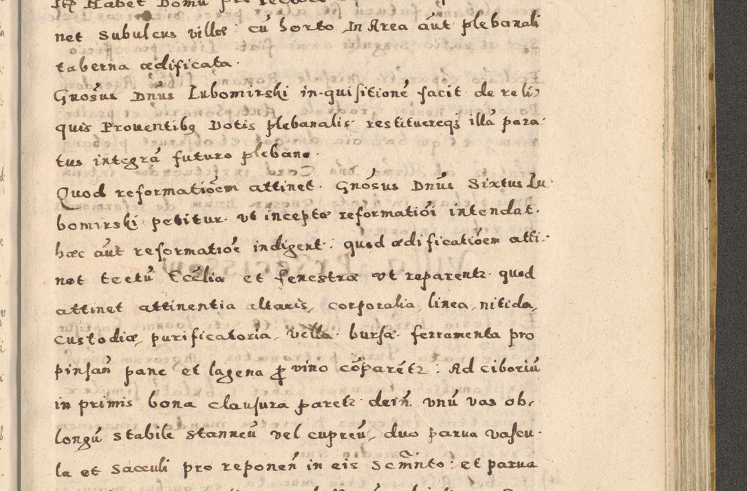 Zdjęcie nr 303 dla obiektu archiwalnego: Acta visitationis exterioris decanatuum Oswiecimensis, Novi Montis, Zatoriensis et Skamnesis ad archidiaconatum Cracoviensem pertinentium per R. D. Christophorum Kazimirski, nominatum episcopum Kijoviensem et praepositum Tarnoviensem ex commissione Illustr. Principis D. Georgii, divina miseratione S.R.E. tituli s. Sixti cardinalis presbiteri Radziwiłł nuncupati, episcopatus Cracoviensis administratoris perpetui, in Olica er Nieswież ducis a. D. 1598