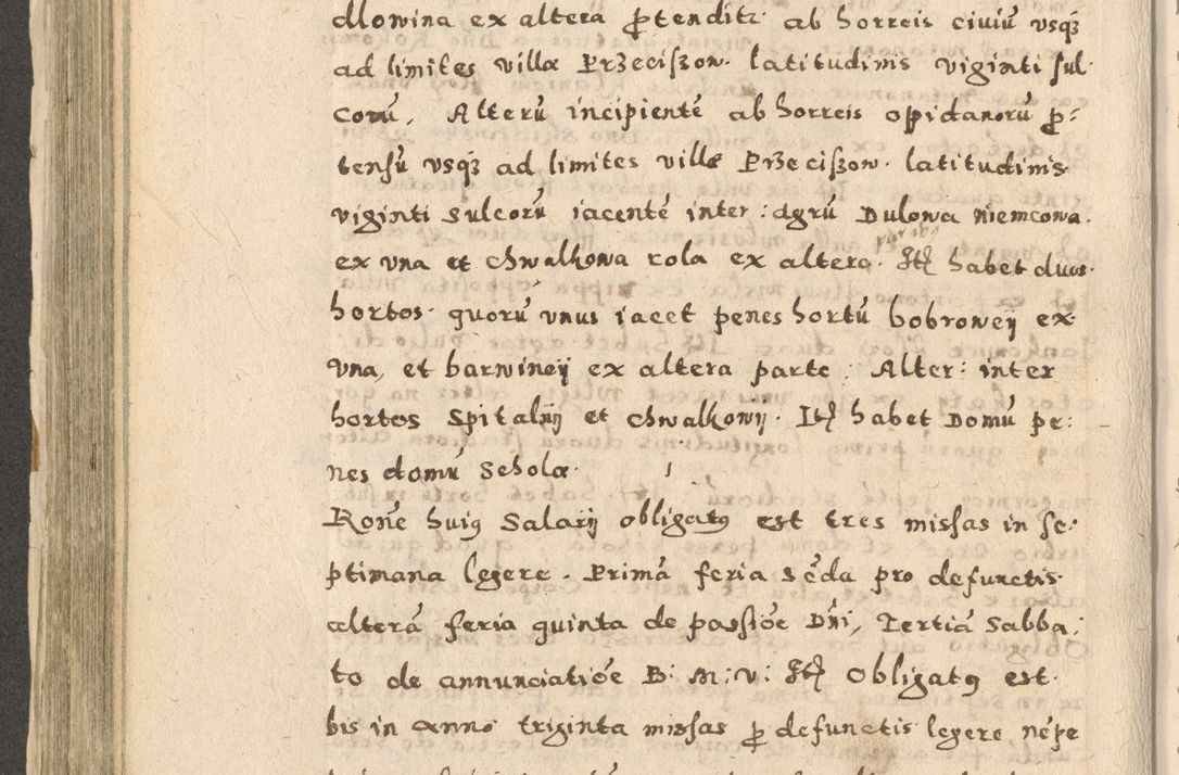 Zdjęcie nr 292 dla obiektu archiwalnego: Acta visitationis exterioris decanatuum Oswiecimensis, Novi Montis, Zatoriensis et Skamnesis ad archidiaconatum Cracoviensem pertinentium per R. D. Christophorum Kazimirski, nominatum episcopum Kijoviensem et praepositum Tarnoviensem ex commissione Illustr. Principis D. Georgii, divina miseratione S.R.E. tituli s. Sixti cardinalis presbiteri Radziwiłł nuncupati, episcopatus Cracoviensis administratoris perpetui, in Olica er Nieswież ducis a. D. 1598