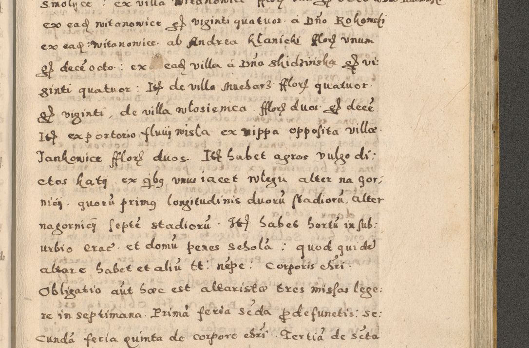 Zdjęcie nr 291 dla obiektu archiwalnego: Acta visitationis exterioris decanatuum Oswiecimensis, Novi Montis, Zatoriensis et Skamnesis ad archidiaconatum Cracoviensem pertinentium per R. D. Christophorum Kazimirski, nominatum episcopum Kijoviensem et praepositum Tarnoviensem ex commissione Illustr. Principis D. Georgii, divina miseratione S.R.E. tituli s. Sixti cardinalis presbiteri Radziwiłł nuncupati, episcopatus Cracoviensis administratoris perpetui, in Olica er Nieswież ducis a. D. 1598