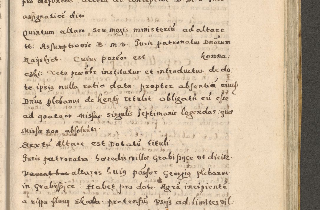 Zdjęcie nr 293 dla obiektu archiwalnego: Acta visitationis exterioris decanatuum Oswiecimensis, Novi Montis, Zatoriensis et Skamnesis ad archidiaconatum Cracoviensem pertinentium per R. D. Christophorum Kazimirski, nominatum episcopum Kijoviensem et praepositum Tarnoviensem ex commissione Illustr. Principis D. Georgii, divina miseratione S.R.E. tituli s. Sixti cardinalis presbiteri Radziwiłł nuncupati, episcopatus Cracoviensis administratoris perpetui, in Olica er Nieswież ducis a. D. 1598