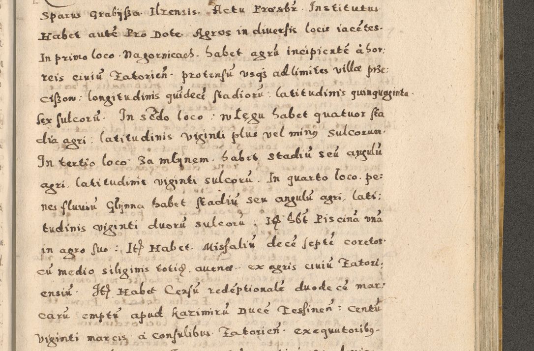 Zdjęcie nr 289 dla obiektu archiwalnego: Acta visitationis exterioris decanatuum Oswiecimensis, Novi Montis, Zatoriensis et Skamnesis ad archidiaconatum Cracoviensem pertinentium per R. D. Christophorum Kazimirski, nominatum episcopum Kijoviensem et praepositum Tarnoviensem ex commissione Illustr. Principis D. Georgii, divina miseratione S.R.E. tituli s. Sixti cardinalis presbiteri Radziwiłł nuncupati, episcopatus Cracoviensis administratoris perpetui, in Olica er Nieswież ducis a. D. 1598