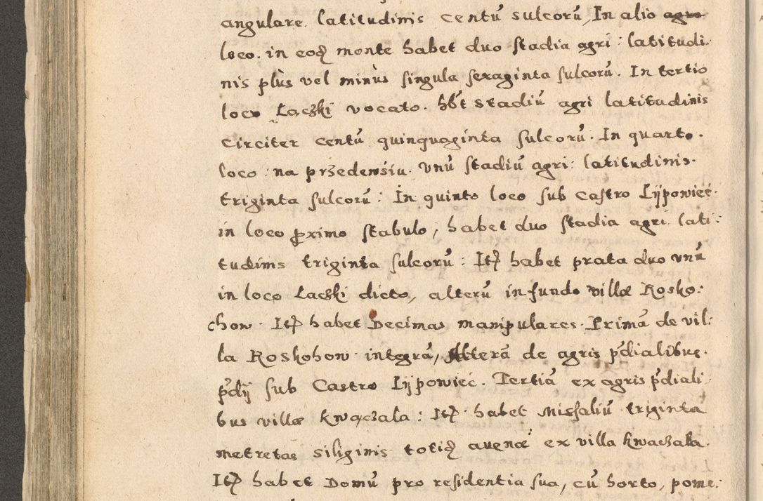 Zdjęcie nr 282 dla obiektu archiwalnego: Acta visitationis exterioris decanatuum Oswiecimensis, Novi Montis, Zatoriensis et Skamnesis ad archidiaconatum Cracoviensem pertinentium per R. D. Christophorum Kazimirski, nominatum episcopum Kijoviensem et praepositum Tarnoviensem ex commissione Illustr. Principis D. Georgii, divina miseratione S.R.E. tituli s. Sixti cardinalis presbiteri Radziwiłł nuncupati, episcopatus Cracoviensis administratoris perpetui, in Olica er Nieswież ducis a. D. 1598