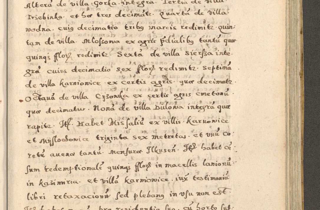 Zdjęcie nr 273 dla obiektu archiwalnego: Acta visitationis exterioris decanatuum Oswiecimensis, Novi Montis, Zatoriensis et Skamnesis ad archidiaconatum Cracoviensem pertinentium per R. D. Christophorum Kazimirski, nominatum episcopum Kijoviensem et praepositum Tarnoviensem ex commissione Illustr. Principis D. Georgii, divina miseratione S.R.E. tituli s. Sixti cardinalis presbiteri Radziwiłł nuncupati, episcopatus Cracoviensis administratoris perpetui, in Olica er Nieswież ducis a. D. 1598