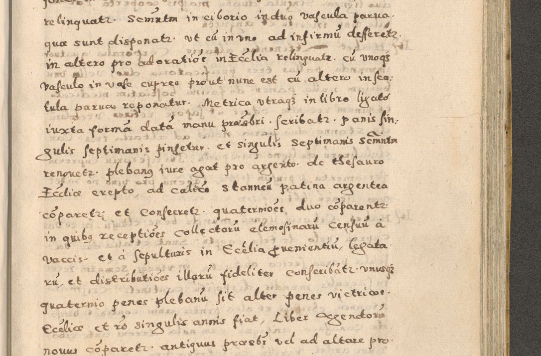 Zdjęcie nr 265 dla obiektu archiwalnego: Acta visitationis exterioris decanatuum Oswiecimensis, Novi Montis, Zatoriensis et Skamnesis ad archidiaconatum Cracoviensem pertinentium per R. D. Christophorum Kazimirski, nominatum episcopum Kijoviensem et praepositum Tarnoviensem ex commissione Illustr. Principis D. Georgii, divina miseratione S.R.E. tituli s. Sixti cardinalis presbiteri Radziwiłł nuncupati, episcopatus Cracoviensis administratoris perpetui, in Olica er Nieswież ducis a. D. 1598