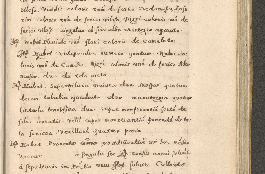 Zdjęcie nr 263 dla obiektu archiwalnego: Acta visitationis exterioris decanatuum Oswiecimensis, Novi Montis, Zatoriensis et Skamnesis ad archidiaconatum Cracoviensem pertinentium per R. D. Christophorum Kazimirski, nominatum episcopum Kijoviensem et praepositum Tarnoviensem ex commissione Illustr. Principis D. Georgii, divina miseratione S.R.E. tituli s. Sixti cardinalis presbiteri Radziwiłł nuncupati, episcopatus Cracoviensis administratoris perpetui, in Olica er Nieswież ducis a. D. 1598