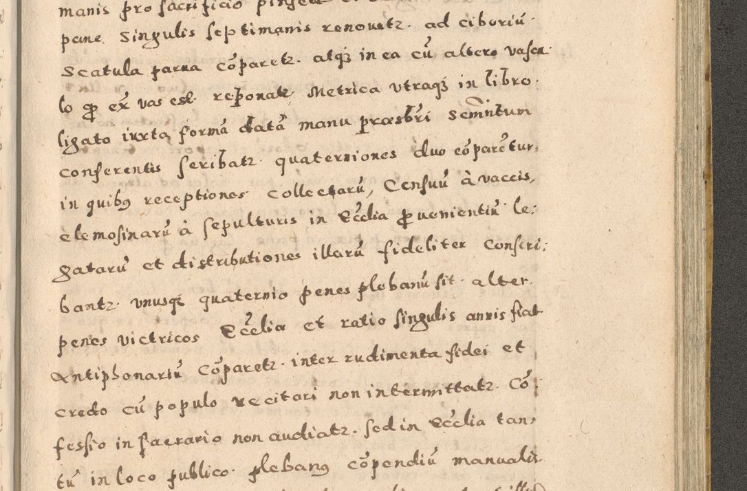 Zdjęcie nr 261 dla obiektu archiwalnego: Acta visitationis exterioris decanatuum Oswiecimensis, Novi Montis, Zatoriensis et Skamnesis ad archidiaconatum Cracoviensem pertinentium per R. D. Christophorum Kazimirski, nominatum episcopum Kijoviensem et praepositum Tarnoviensem ex commissione Illustr. Principis D. Georgii, divina miseratione S.R.E. tituli s. Sixti cardinalis presbiteri Radziwiłł nuncupati, episcopatus Cracoviensis administratoris perpetui, in Olica er Nieswież ducis a. D. 1598