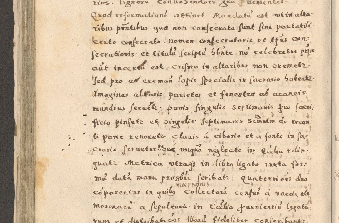 Zdjęcie nr 252 dla obiektu archiwalnego: Acta visitationis exterioris decanatuum Oswiecimensis, Novi Montis, Zatoriensis et Skamnesis ad archidiaconatum Cracoviensem pertinentium per R. D. Christophorum Kazimirski, nominatum episcopum Kijoviensem et praepositum Tarnoviensem ex commissione Illustr. Principis D. Georgii, divina miseratione S.R.E. tituli s. Sixti cardinalis presbiteri Radziwiłł nuncupati, episcopatus Cracoviensis administratoris perpetui, in Olica er Nieswież ducis a. D. 1598