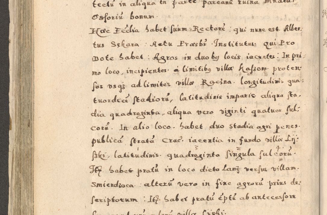 Zdjęcie nr 246 dla obiektu archiwalnego: Acta visitationis exterioris decanatuum Oswiecimensis, Novi Montis, Zatoriensis et Skamnesis ad archidiaconatum Cracoviensem pertinentium per R. D. Christophorum Kazimirski, nominatum episcopum Kijoviensem et praepositum Tarnoviensem ex commissione Illustr. Principis D. Georgii, divina miseratione S.R.E. tituli s. Sixti cardinalis presbiteri Radziwiłł nuncupati, episcopatus Cracoviensis administratoris perpetui, in Olica er Nieswież ducis a. D. 1598