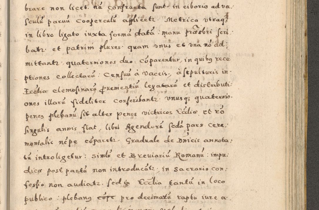 Zdjęcie nr 231 dla obiektu archiwalnego: Acta visitationis exterioris decanatuum Oswiecimensis, Novi Montis, Zatoriensis et Skamnesis ad archidiaconatum Cracoviensem pertinentium per R. D. Christophorum Kazimirski, nominatum episcopum Kijoviensem et praepositum Tarnoviensem ex commissione Illustr. Principis D. Georgii, divina miseratione S.R.E. tituli s. Sixti cardinalis presbiteri Radziwiłł nuncupati, episcopatus Cracoviensis administratoris perpetui, in Olica er Nieswież ducis a. D. 1598