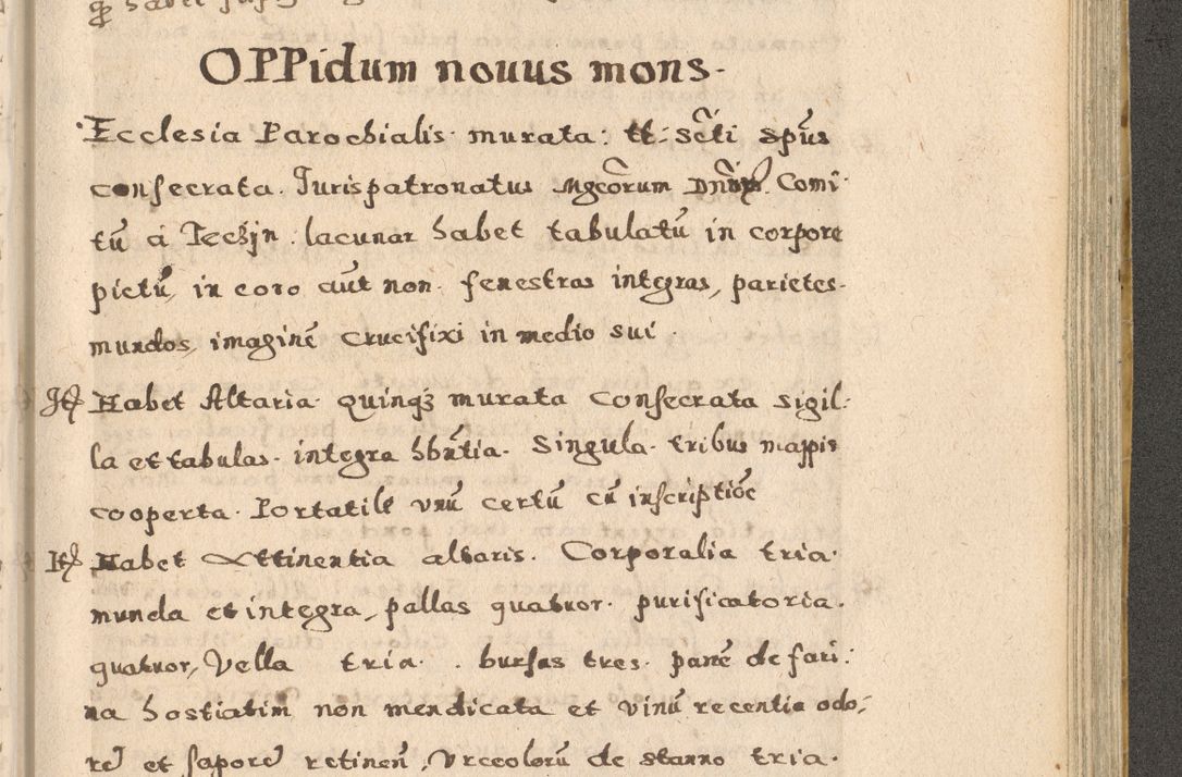 Zdjęcie nr 217 dla obiektu archiwalnego: Acta visitationis exterioris decanatuum Oswiecimensis, Novi Montis, Zatoriensis et Skamnesis ad archidiaconatum Cracoviensem pertinentium per R. D. Christophorum Kazimirski, nominatum episcopum Kijoviensem et praepositum Tarnoviensem ex commissione Illustr. Principis D. Georgii, divina miseratione S.R.E. tituli s. Sixti cardinalis presbiteri Radziwiłł nuncupati, episcopatus Cracoviensis administratoris perpetui, in Olica er Nieswież ducis a. D. 1598
