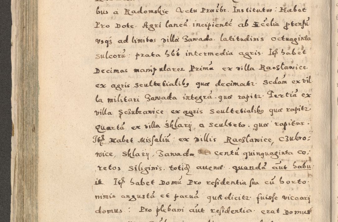 Zdjęcie nr 210 dla obiektu archiwalnego: Acta visitationis exterioris decanatuum Oswiecimensis, Novi Montis, Zatoriensis et Skamnesis ad archidiaconatum Cracoviensem pertinentium per R. D. Christophorum Kazimirski, nominatum episcopum Kijoviensem et praepositum Tarnoviensem ex commissione Illustr. Principis D. Georgii, divina miseratione S.R.E. tituli s. Sixti cardinalis presbiteri Radziwiłł nuncupati, episcopatus Cracoviensis administratoris perpetui, in Olica er Nieswież ducis a. D. 1598