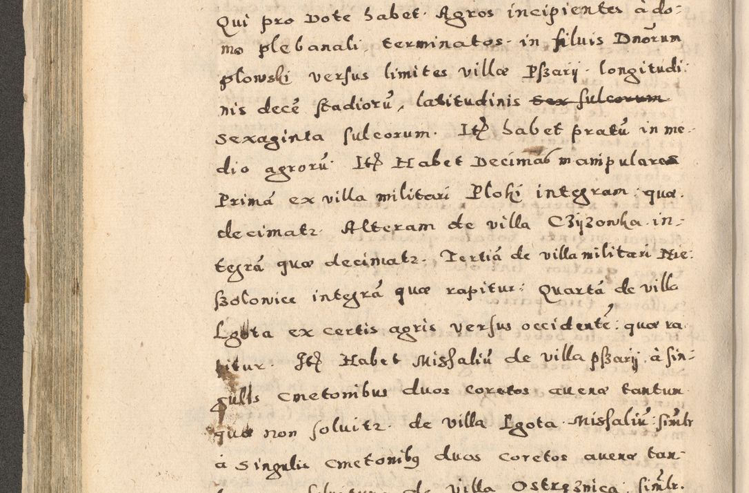 Zdjęcie nr 202 dla obiektu archiwalnego: Acta visitationis exterioris decanatuum Oswiecimensis, Novi Montis, Zatoriensis et Skamnesis ad archidiaconatum Cracoviensem pertinentium per R. D. Christophorum Kazimirski, nominatum episcopum Kijoviensem et praepositum Tarnoviensem ex commissione Illustr. Principis D. Georgii, divina miseratione S.R.E. tituli s. Sixti cardinalis presbiteri Radziwiłł nuncupati, episcopatus Cracoviensis administratoris perpetui, in Olica er Nieswież ducis a. D. 1598