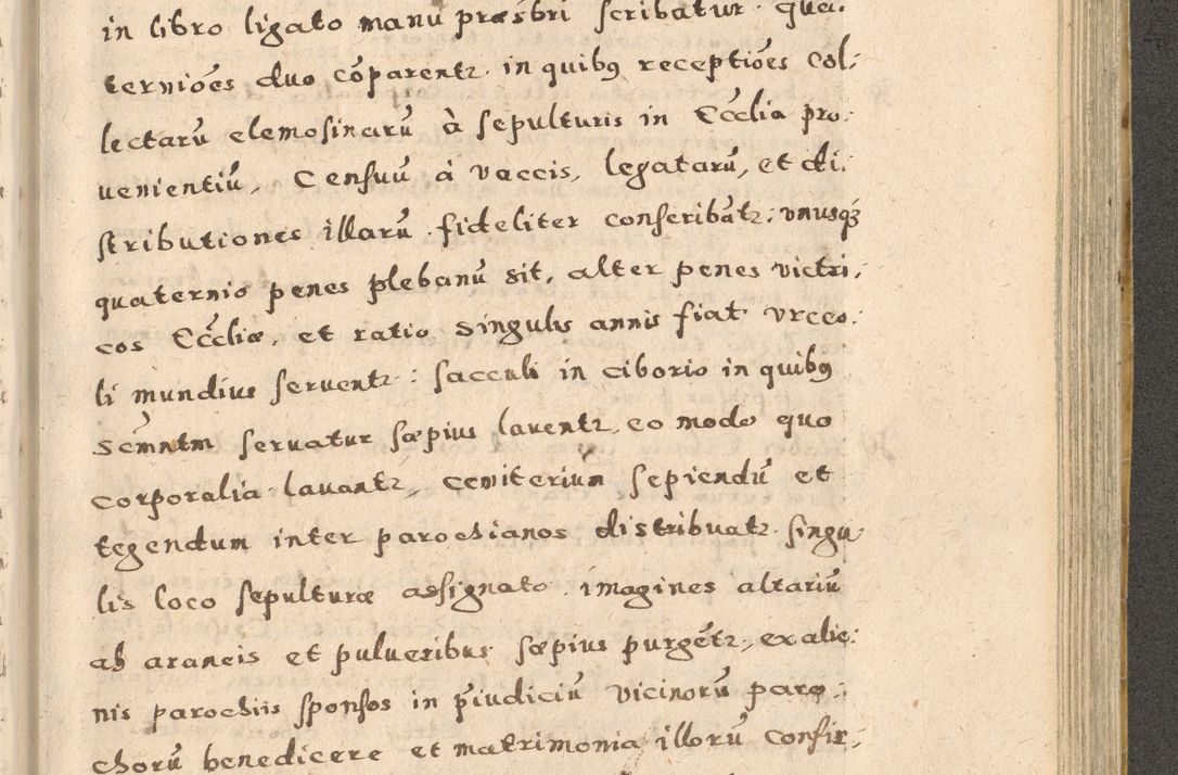 Zdjęcie nr 203 dla obiektu archiwalnego: Acta visitationis exterioris decanatuum Oswiecimensis, Novi Montis, Zatoriensis et Skamnesis ad archidiaconatum Cracoviensem pertinentium per R. D. Christophorum Kazimirski, nominatum episcopum Kijoviensem et praepositum Tarnoviensem ex commissione Illustr. Principis D. Georgii, divina miseratione S.R.E. tituli s. Sixti cardinalis presbiteri Radziwiłł nuncupati, episcopatus Cracoviensis administratoris perpetui, in Olica er Nieswież ducis a. D. 1598