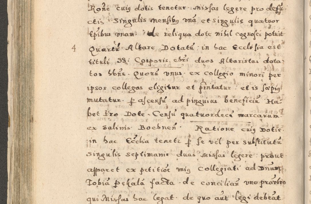 Zdjęcie nr 186 dla obiektu archiwalnego: Acta visitationis exterioris decanatuum Oswiecimensis, Novi Montis, Zatoriensis et Skamnesis ad archidiaconatum Cracoviensem pertinentium per R. D. Christophorum Kazimirski, nominatum episcopum Kijoviensem et praepositum Tarnoviensem ex commissione Illustr. Principis D. Georgii, divina miseratione S.R.E. tituli s. Sixti cardinalis presbiteri Radziwiłł nuncupati, episcopatus Cracoviensis administratoris perpetui, in Olica er Nieswież ducis a. D. 1598