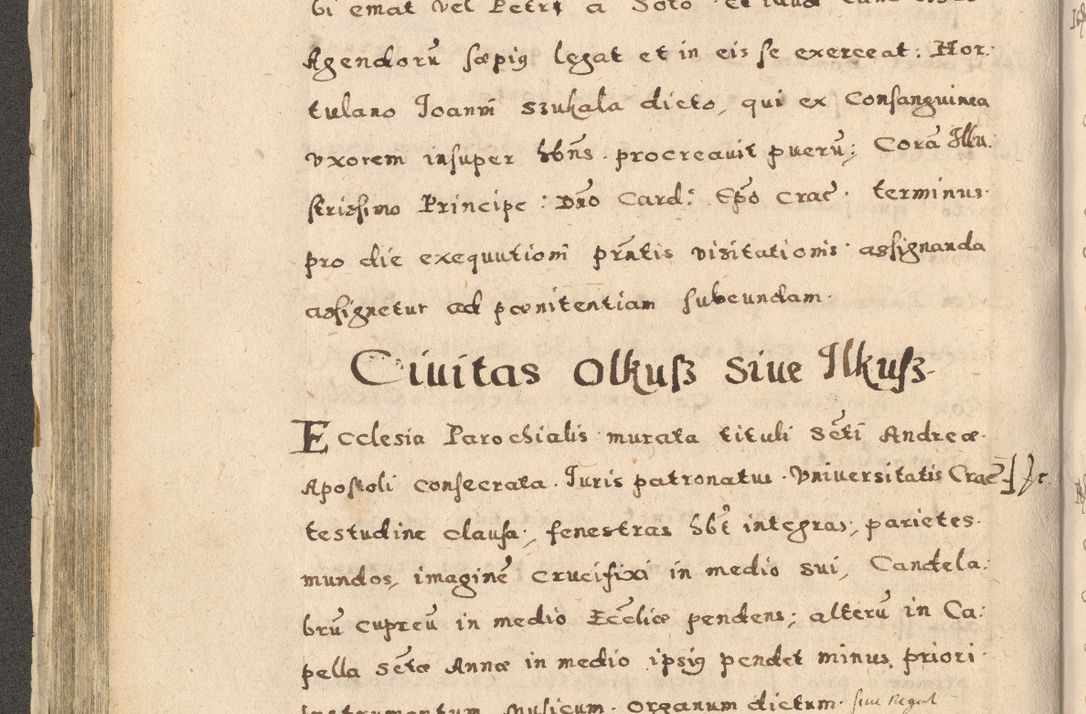 Zdjęcie nr 174 dla obiektu archiwalnego: Acta visitationis exterioris decanatuum Oswiecimensis, Novi Montis, Zatoriensis et Skamnesis ad archidiaconatum Cracoviensem pertinentium per R. D. Christophorum Kazimirski, nominatum episcopum Kijoviensem et praepositum Tarnoviensem ex commissione Illustr. Principis D. Georgii, divina miseratione S.R.E. tituli s. Sixti cardinalis presbiteri Radziwiłł nuncupati, episcopatus Cracoviensis administratoris perpetui, in Olica er Nieswież ducis a. D. 1598