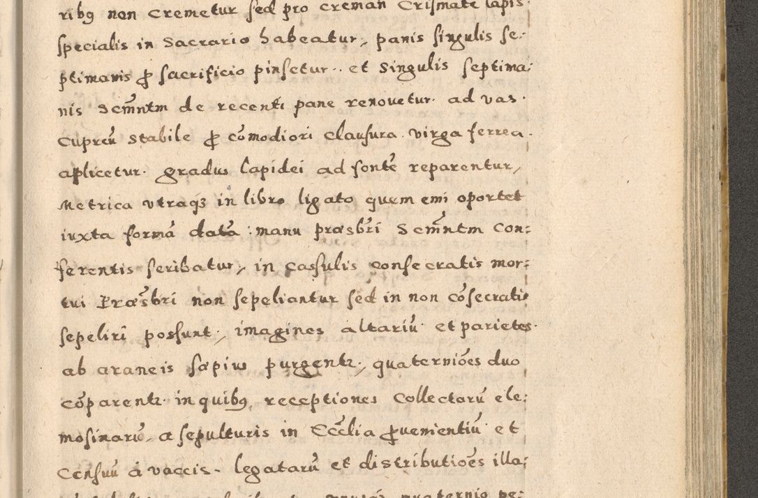 Zdjęcie nr 167 dla obiektu archiwalnego: Acta visitationis exterioris decanatuum Oswiecimensis, Novi Montis, Zatoriensis et Skamnesis ad archidiaconatum Cracoviensem pertinentium per R. D. Christophorum Kazimirski, nominatum episcopum Kijoviensem et praepositum Tarnoviensem ex commissione Illustr. Principis D. Georgii, divina miseratione S.R.E. tituli s. Sixti cardinalis presbiteri Radziwiłł nuncupati, episcopatus Cracoviensis administratoris perpetui, in Olica er Nieswież ducis a. D. 1598