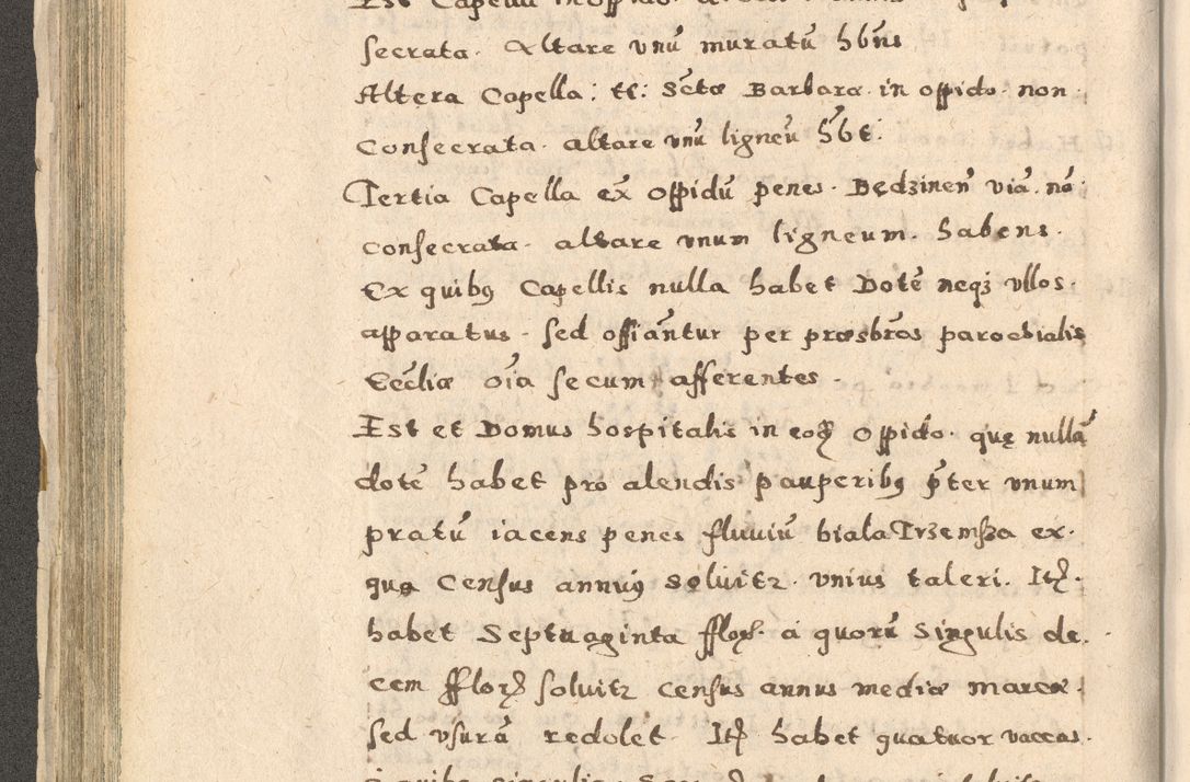 Zdjęcie nr 166 dla obiektu archiwalnego: Acta visitationis exterioris decanatuum Oswiecimensis, Novi Montis, Zatoriensis et Skamnesis ad archidiaconatum Cracoviensem pertinentium per R. D. Christophorum Kazimirski, nominatum episcopum Kijoviensem et praepositum Tarnoviensem ex commissione Illustr. Principis D. Georgii, divina miseratione S.R.E. tituli s. Sixti cardinalis presbiteri Radziwiłł nuncupati, episcopatus Cracoviensis administratoris perpetui, in Olica er Nieswież ducis a. D. 1598