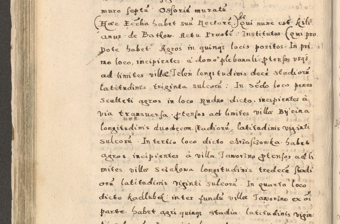 Zdjęcie nr 158 dla obiektu archiwalnego: Acta visitationis exterioris decanatuum Oswiecimensis, Novi Montis, Zatoriensis et Skamnesis ad archidiaconatum Cracoviensem pertinentium per R. D. Christophorum Kazimirski, nominatum episcopum Kijoviensem et praepositum Tarnoviensem ex commissione Illustr. Principis D. Georgii, divina miseratione S.R.E. tituli s. Sixti cardinalis presbiteri Radziwiłł nuncupati, episcopatus Cracoviensis administratoris perpetui, in Olica er Nieswież ducis a. D. 1598