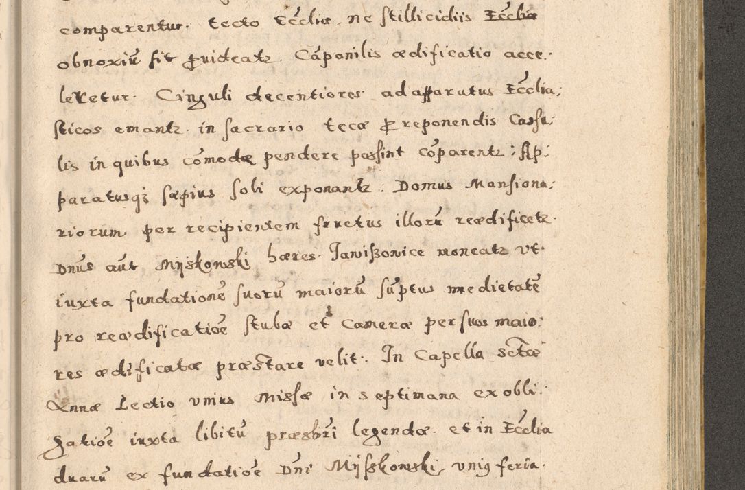 Zdjęcie nr 137 dla obiektu archiwalnego: Acta visitationis exterioris decanatuum Oswiecimensis, Novi Montis, Zatoriensis et Skamnesis ad archidiaconatum Cracoviensem pertinentium per R. D. Christophorum Kazimirski, nominatum episcopum Kijoviensem et praepositum Tarnoviensem ex commissione Illustr. Principis D. Georgii, divina miseratione S.R.E. tituli s. Sixti cardinalis presbiteri Radziwiłł nuncupati, episcopatus Cracoviensis administratoris perpetui, in Olica er Nieswież ducis a. D. 1598