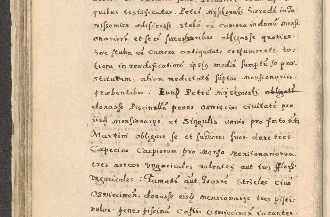Zdjęcie nr 128 dla obiektu archiwalnego: Acta visitationis exterioris decanatuum Oswiecimensis, Novi Montis, Zatoriensis et Skamnesis ad archidiaconatum Cracoviensem pertinentium per R. D. Christophorum Kazimirski, nominatum episcopum Kijoviensem et praepositum Tarnoviensem ex commissione Illustr. Principis D. Georgii, divina miseratione S.R.E. tituli s. Sixti cardinalis presbiteri Radziwiłł nuncupati, episcopatus Cracoviensis administratoris perpetui, in Olica er Nieswież ducis a. D. 1598