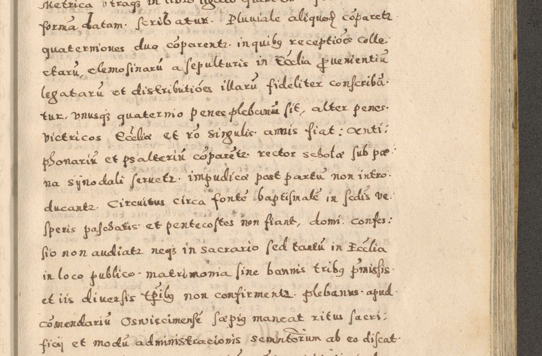 Zdjęcie nr 105 dla obiektu archiwalnego: Acta visitationis exterioris decanatuum Oswiecimensis, Novi Montis, Zatoriensis et Skamnesis ad archidiaconatum Cracoviensem pertinentium per R. D. Christophorum Kazimirski, nominatum episcopum Kijoviensem et praepositum Tarnoviensem ex commissione Illustr. Principis D. Georgii, divina miseratione S.R.E. tituli s. Sixti cardinalis presbiteri Radziwiłł nuncupati, episcopatus Cracoviensis administratoris perpetui, in Olica er Nieswież ducis a. D. 1598