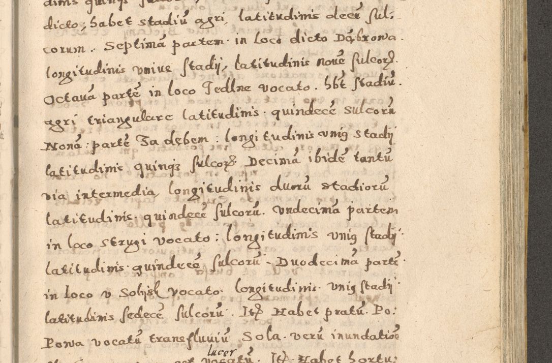 Zdjęcie nr 103 dla obiektu archiwalnego: Acta visitationis exterioris decanatuum Oswiecimensis, Novi Montis, Zatoriensis et Skamnesis ad archidiaconatum Cracoviensem pertinentium per R. D. Christophorum Kazimirski, nominatum episcopum Kijoviensem et praepositum Tarnoviensem ex commissione Illustr. Principis D. Georgii, divina miseratione S.R.E. tituli s. Sixti cardinalis presbiteri Radziwiłł nuncupati, episcopatus Cracoviensis administratoris perpetui, in Olica er Nieswież ducis a. D. 1598