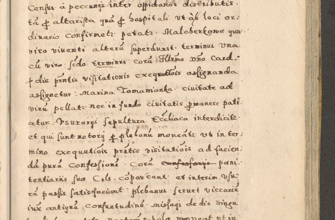 Zdjęcie nr 95 dla obiektu archiwalnego: Acta visitationis exterioris decanatuum Oswiecimensis, Novi Montis, Zatoriensis et Skamnesis ad archidiaconatum Cracoviensem pertinentium per R. D. Christophorum Kazimirski, nominatum episcopum Kijoviensem et praepositum Tarnoviensem ex commissione Illustr. Principis D. Georgii, divina miseratione S.R.E. tituli s. Sixti cardinalis presbiteri Radziwiłł nuncupati, episcopatus Cracoviensis administratoris perpetui, in Olica er Nieswież ducis a. D. 1598