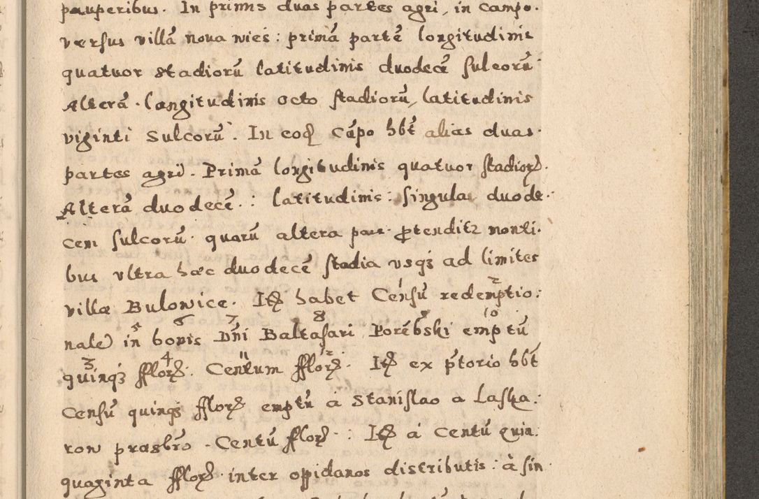Zdjęcie nr 93 dla obiektu archiwalnego: Acta visitationis exterioris decanatuum Oswiecimensis, Novi Montis, Zatoriensis et Skamnesis ad archidiaconatum Cracoviensem pertinentium per R. D. Christophorum Kazimirski, nominatum episcopum Kijoviensem et praepositum Tarnoviensem ex commissione Illustr. Principis D. Georgii, divina miseratione S.R.E. tituli s. Sixti cardinalis presbiteri Radziwiłł nuncupati, episcopatus Cracoviensis administratoris perpetui, in Olica er Nieswież ducis a. D. 1598