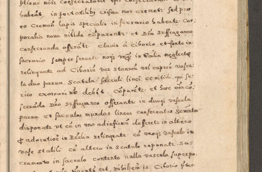 Zdjęcie nr 85 dla obiektu archiwalnego: Acta visitationis exterioris decanatuum Oswiecimensis, Novi Montis, Zatoriensis et Skamnesis ad archidiaconatum Cracoviensem pertinentium per R. D. Christophorum Kazimirski, nominatum episcopum Kijoviensem et praepositum Tarnoviensem ex commissione Illustr. Principis D. Georgii, divina miseratione S.R.E. tituli s. Sixti cardinalis presbiteri Radziwiłł nuncupati, episcopatus Cracoviensis administratoris perpetui, in Olica er Nieswież ducis a. D. 1598