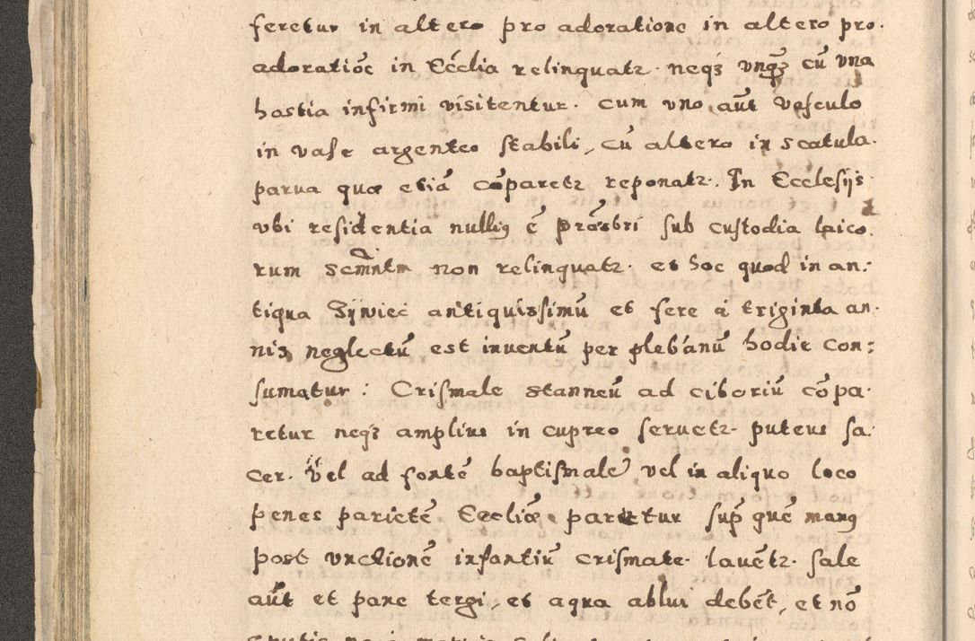Zdjęcie nr 80 dla obiektu archiwalnego: Acta visitationis exterioris decanatuum Oswiecimensis, Novi Montis, Zatoriensis et Skamnesis ad archidiaconatum Cracoviensem pertinentium per R. D. Christophorum Kazimirski, nominatum episcopum Kijoviensem et praepositum Tarnoviensem ex commissione Illustr. Principis D. Georgii, divina miseratione S.R.E. tituli s. Sixti cardinalis presbiteri Radziwiłł nuncupati, episcopatus Cracoviensis administratoris perpetui, in Olica er Nieswież ducis a. D. 1598
