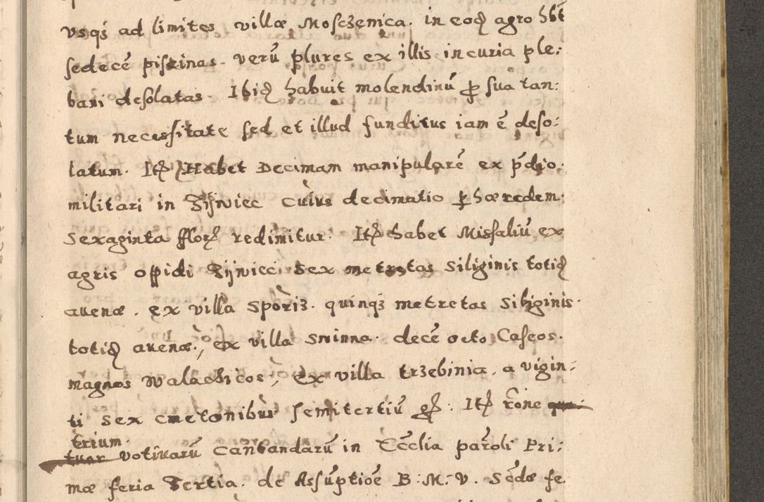 Zdjęcie nr 77 dla obiektu archiwalnego: Acta visitationis exterioris decanatuum Oswiecimensis, Novi Montis, Zatoriensis et Skamnesis ad archidiaconatum Cracoviensem pertinentium per R. D. Christophorum Kazimirski, nominatum episcopum Kijoviensem et praepositum Tarnoviensem ex commissione Illustr. Principis D. Georgii, divina miseratione S.R.E. tituli s. Sixti cardinalis presbiteri Radziwiłł nuncupati, episcopatus Cracoviensis administratoris perpetui, in Olica er Nieswież ducis a. D. 1598