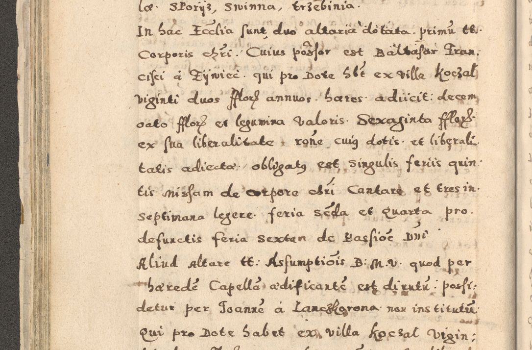 Zdjęcie nr 78 dla obiektu archiwalnego: Acta visitationis exterioris decanatuum Oswiecimensis, Novi Montis, Zatoriensis et Skamnesis ad archidiaconatum Cracoviensem pertinentium per R. D. Christophorum Kazimirski, nominatum episcopum Kijoviensem et praepositum Tarnoviensem ex commissione Illustr. Principis D. Georgii, divina miseratione S.R.E. tituli s. Sixti cardinalis presbiteri Radziwiłł nuncupati, episcopatus Cracoviensis administratoris perpetui, in Olica er Nieswież ducis a. D. 1598