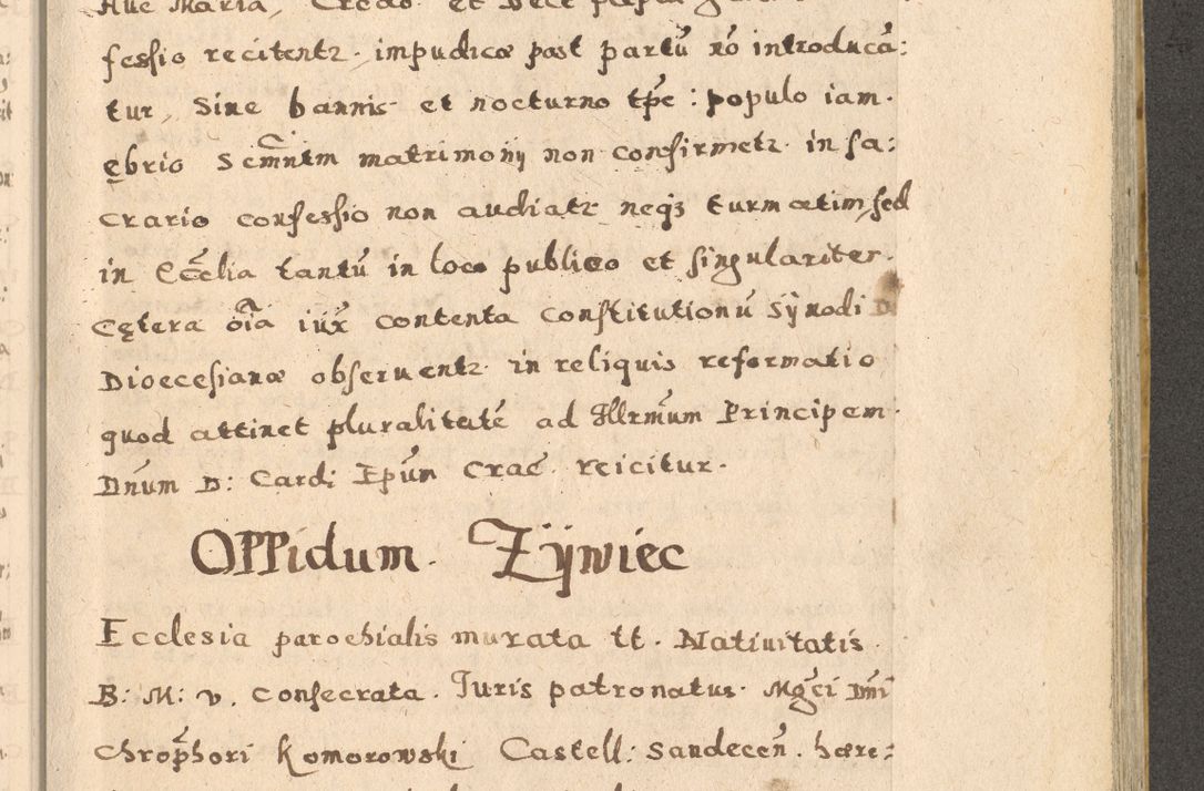 Zdjęcie nr 71 dla obiektu archiwalnego: Acta visitationis exterioris decanatuum Oswiecimensis, Novi Montis, Zatoriensis et Skamnesis ad archidiaconatum Cracoviensem pertinentium per R. D. Christophorum Kazimirski, nominatum episcopum Kijoviensem et praepositum Tarnoviensem ex commissione Illustr. Principis D. Georgii, divina miseratione S.R.E. tituli s. Sixti cardinalis presbiteri Radziwiłł nuncupati, episcopatus Cracoviensis administratoris perpetui, in Olica er Nieswież ducis a. D. 1598