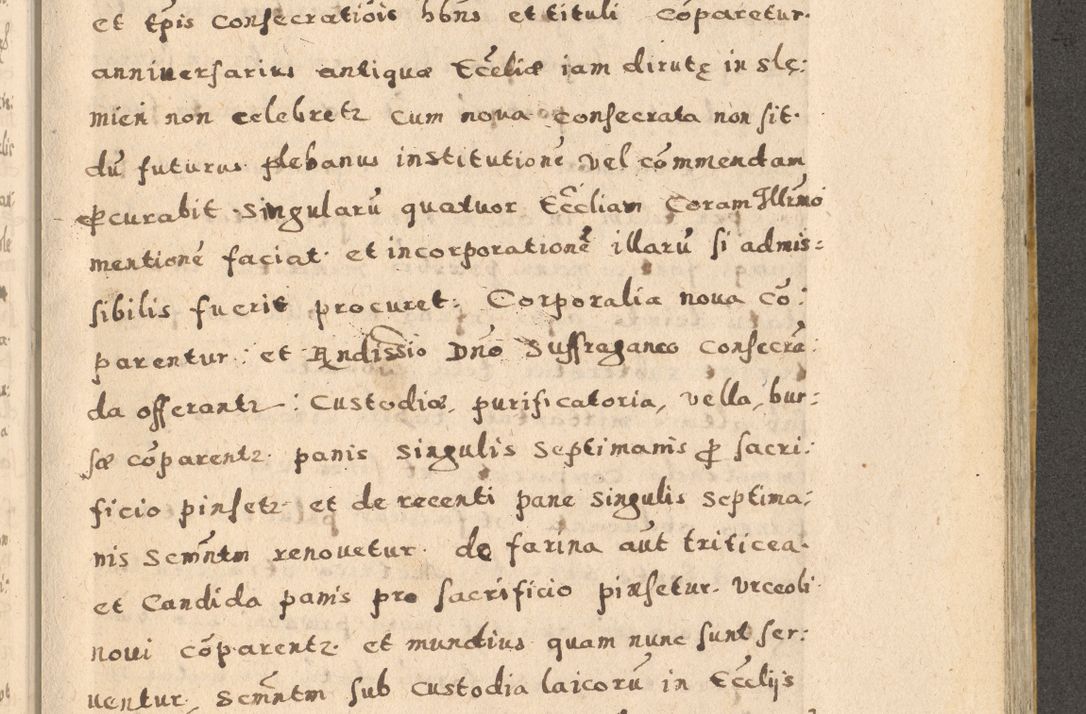 Zdjęcie nr 69 dla obiektu archiwalnego: Acta visitationis exterioris decanatuum Oswiecimensis, Novi Montis, Zatoriensis et Skamnesis ad archidiaconatum Cracoviensem pertinentium per R. D. Christophorum Kazimirski, nominatum episcopum Kijoviensem et praepositum Tarnoviensem ex commissione Illustr. Principis D. Georgii, divina miseratione S.R.E. tituli s. Sixti cardinalis presbiteri Radziwiłł nuncupati, episcopatus Cracoviensis administratoris perpetui, in Olica er Nieswież ducis a. D. 1598