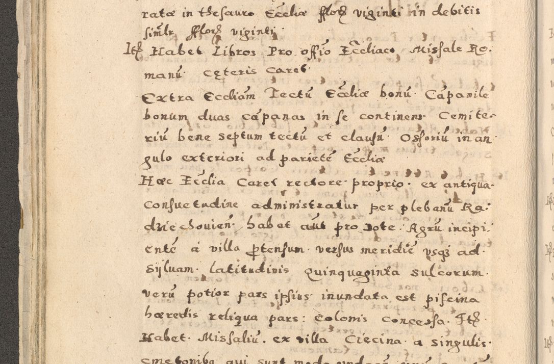 Zdjęcie nr 56 dla obiektu archiwalnego: Acta visitationis exterioris decanatuum Oswiecimensis, Novi Montis, Zatoriensis et Skamnesis ad archidiaconatum Cracoviensem pertinentium per R. D. Christophorum Kazimirski, nominatum episcopum Kijoviensem et praepositum Tarnoviensem ex commissione Illustr. Principis D. Georgii, divina miseratione S.R.E. tituli s. Sixti cardinalis presbiteri Radziwiłł nuncupati, episcopatus Cracoviensis administratoris perpetui, in Olica er Nieswież ducis a. D. 1598