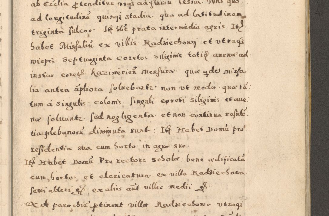 Zdjęcie nr 53 dla obiektu archiwalnego: Acta visitationis exterioris decanatuum Oswiecimensis, Novi Montis, Zatoriensis et Skamnesis ad archidiaconatum Cracoviensem pertinentium per R. D. Christophorum Kazimirski, nominatum episcopum Kijoviensem et praepositum Tarnoviensem ex commissione Illustr. Principis D. Georgii, divina miseratione S.R.E. tituli s. Sixti cardinalis presbiteri Radziwiłł nuncupati, episcopatus Cracoviensis administratoris perpetui, in Olica er Nieswież ducis a. D. 1598