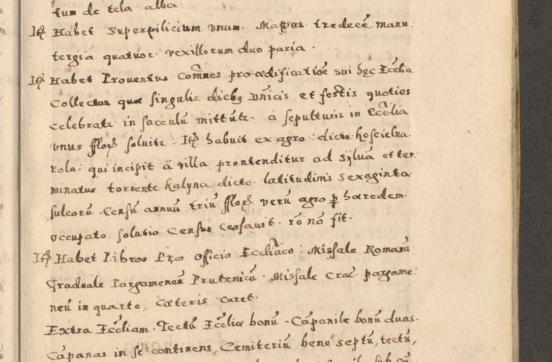 Zdjęcie nr 49 dla obiektu archiwalnego: Acta visitationis exterioris decanatuum Oswiecimensis, Novi Montis, Zatoriensis et Skamnesis ad archidiaconatum Cracoviensem pertinentium per R. D. Christophorum Kazimirski, nominatum episcopum Kijoviensem et praepositum Tarnoviensem ex commissione Illustr. Principis D. Georgii, divina miseratione S.R.E. tituli s. Sixti cardinalis presbiteri Radziwiłł nuncupati, episcopatus Cracoviensis administratoris perpetui, in Olica er Nieswież ducis a. D. 1598