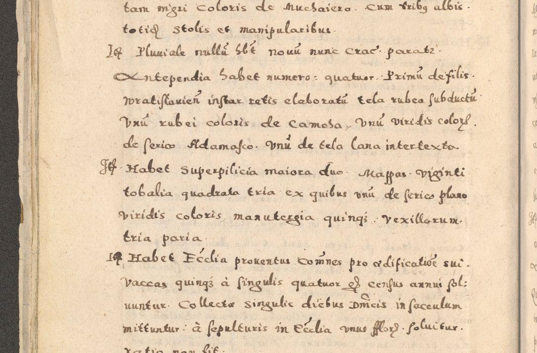 Zdjęcie nr 36 dla obiektu archiwalnego: Acta visitationis exterioris decanatuum Oswiecimensis, Novi Montis, Zatoriensis et Skamnesis ad archidiaconatum Cracoviensem pertinentium per R. D. Christophorum Kazimirski, nominatum episcopum Kijoviensem et praepositum Tarnoviensem ex commissione Illustr. Principis D. Georgii, divina miseratione S.R.E. tituli s. Sixti cardinalis presbiteri Radziwiłł nuncupati, episcopatus Cracoviensis administratoris perpetui, in Olica er Nieswież ducis a. D. 1598