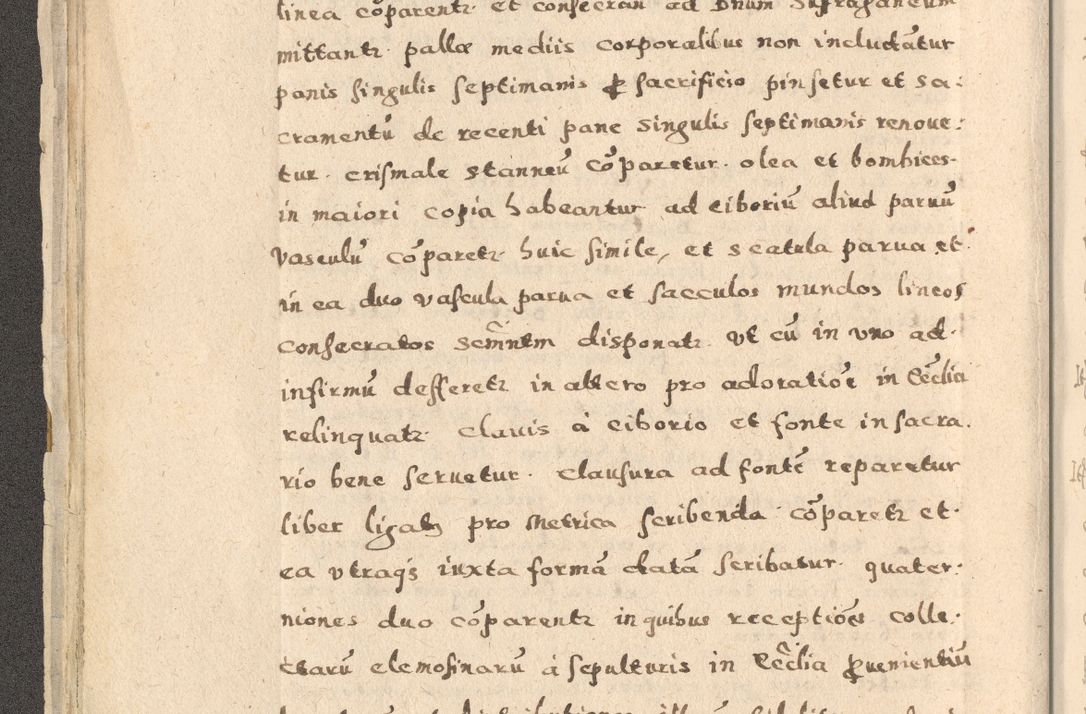Zdjęcie nr 30 dla obiektu archiwalnego: Acta visitationis exterioris decanatuum Oswiecimensis, Novi Montis, Zatoriensis et Skamnesis ad archidiaconatum Cracoviensem pertinentium per R. D. Christophorum Kazimirski, nominatum episcopum Kijoviensem et praepositum Tarnoviensem ex commissione Illustr. Principis D. Georgii, divina miseratione S.R.E. tituli s. Sixti cardinalis presbiteri Radziwiłł nuncupati, episcopatus Cracoviensis administratoris perpetui, in Olica er Nieswież ducis a. D. 1598