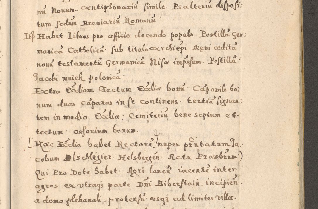 Zdjęcie nr 25 dla obiektu archiwalnego: Acta visitationis exterioris decanatuum Oswiecimensis, Novi Montis, Zatoriensis et Skamnesis ad archidiaconatum Cracoviensem pertinentium per R. D. Christophorum Kazimirski, nominatum episcopum Kijoviensem et praepositum Tarnoviensem ex commissione Illustr. Principis D. Georgii, divina miseratione S.R.E. tituli s. Sixti cardinalis presbiteri Radziwiłł nuncupati, episcopatus Cracoviensis administratoris perpetui, in Olica er Nieswież ducis a. D. 1598