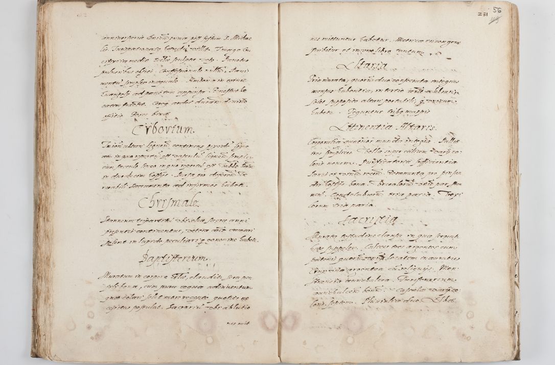 Zdjęcie nr 61 dla obiektu archiwalnego: Visitatio ecclesiarum decanatus Novi Montis, Bythomiensis, Novi Fori, Chodeliensis, Parczoviensis per Rmum Dnum Petrum Skiedzienski Archidiaconum Zawichostensem de anno 1611 peracta