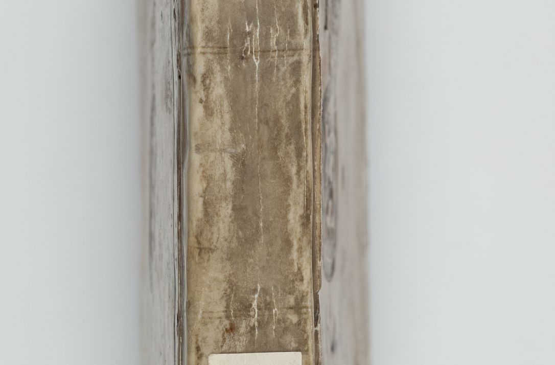 Zdjęcie nr 5 dla obiektu archiwalnego: Liber visitationum a R. D. Joanne Tarnowski, archidiacono Cracoviensi visitatarum ecclesiarum parachialium in decanatibus: Novi Monte, Scavinensi, Zatoriensi, Żiwecensi et Oswiecimensi in annis 1644 - 1647 expeditarum.